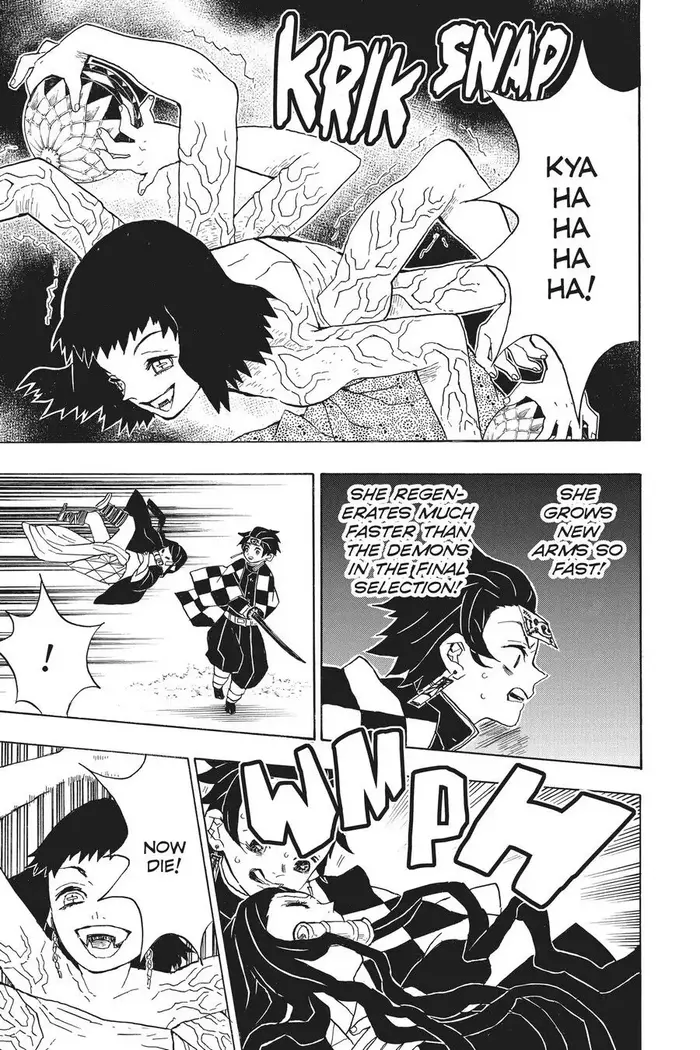 Demon Slayer Chapter 17 image 09_optimized
